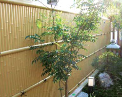 人工建仁寺竹垣